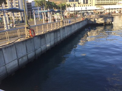 the docking area in Port Louis showing the wharf area