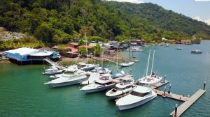 a long wooden pontoon with a variety of boat types on it and green hills behind